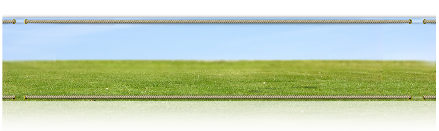 dsgn_816_head.png