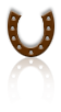dsgn_816_horseshoe.png