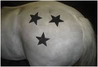 stencils.jpg